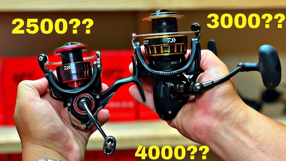 2500 Vs 3000 Reel