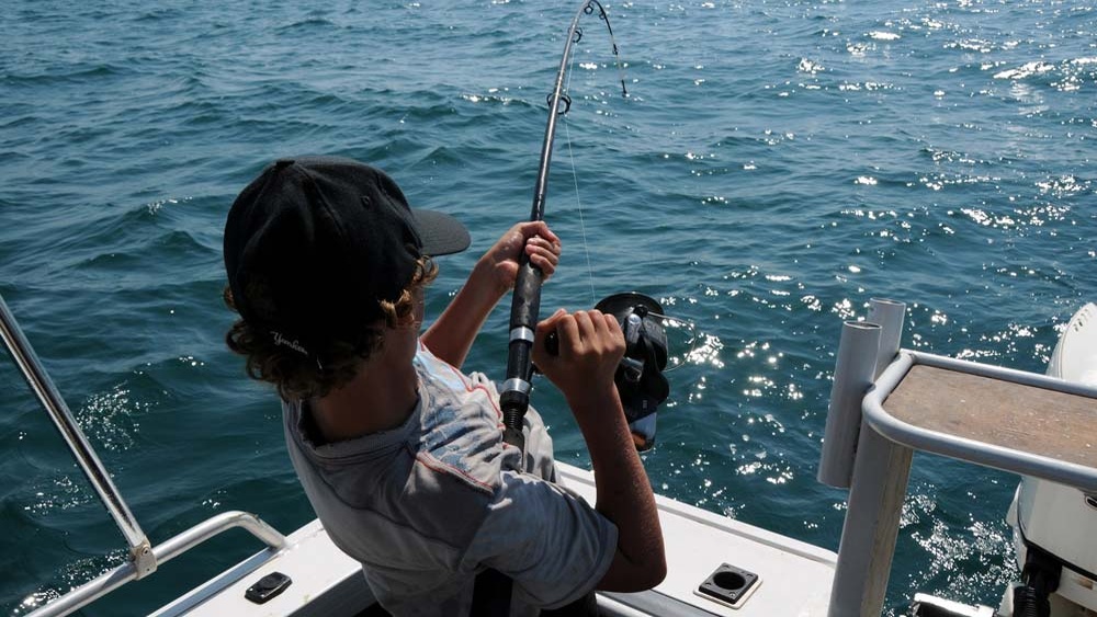 Carbon Fiber Vs Graphite Fishing Rod