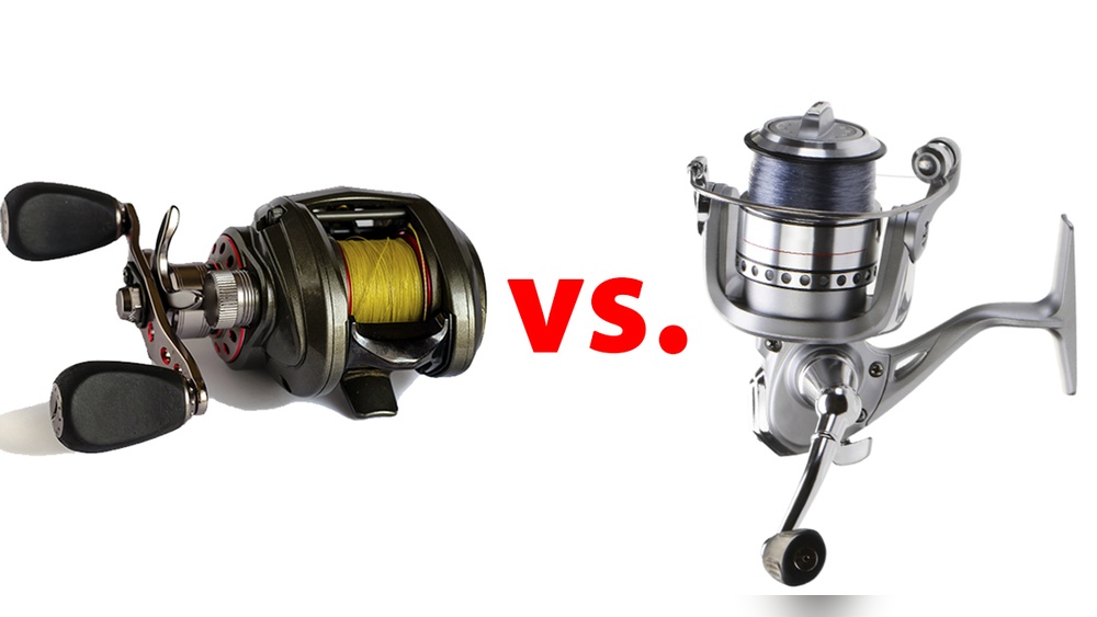 Casting Reel Vs Spinning Reel