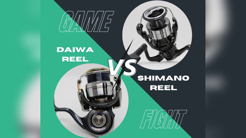 Daiwa Vs Shimano Fishing Reels Comparison: Which Wins? Daiwa Vs Shimano Fishing Reels Comparison