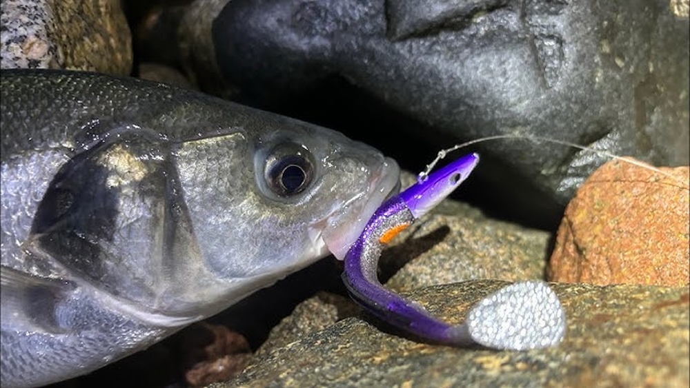Do Fishing Lures Work at Night