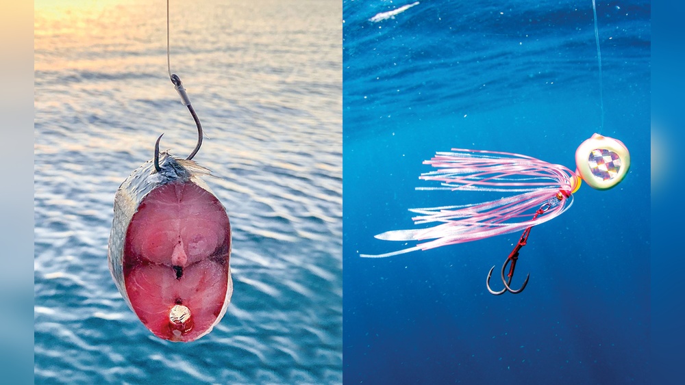 Fishing Jig Vs Lure