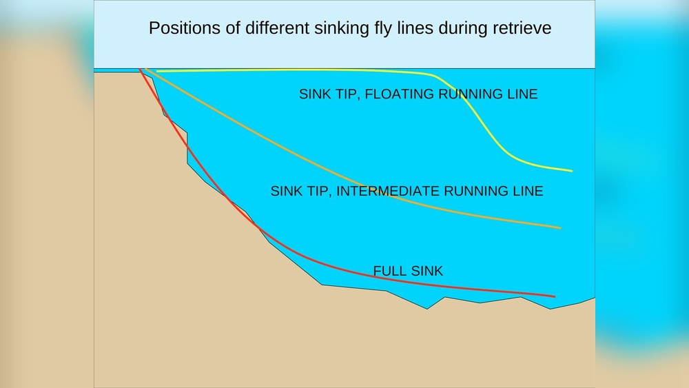 Fly Fishing Floating Vs Sinking Line