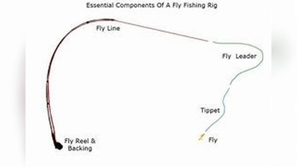 Fly Fishing Leader Vs Tippet