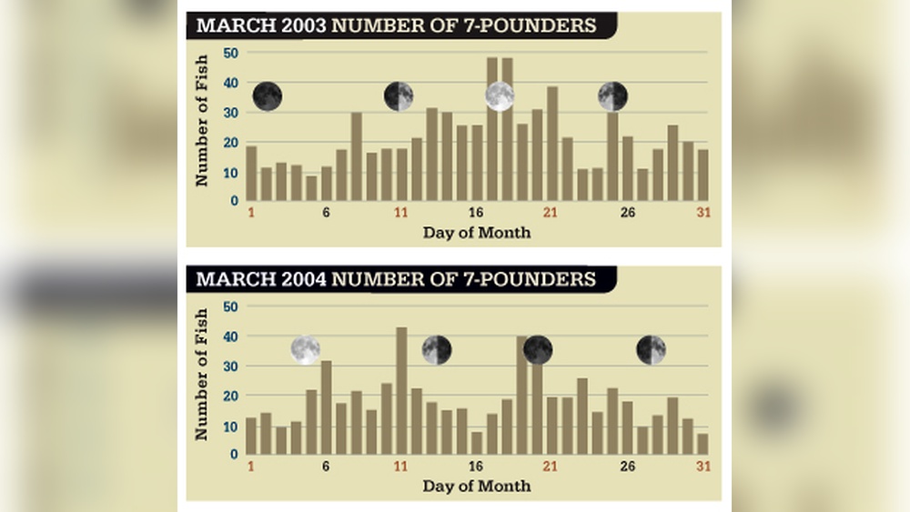 How Moon Phase Affects Bass Fishing: Catch More Trophy Bass How Moon Phase Affects Bass Fishing
