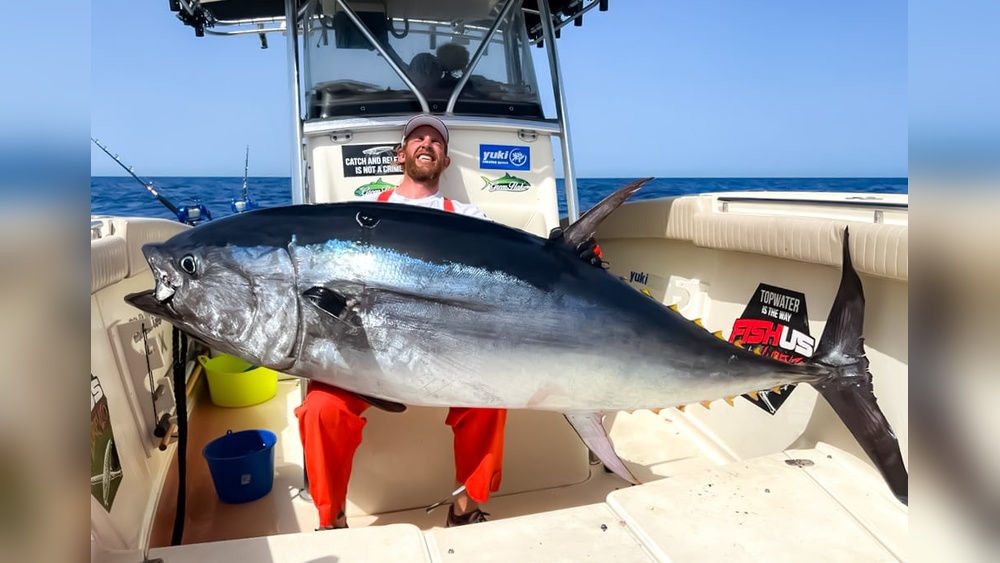 How Much Does It Cost to Go Tuna Fishing