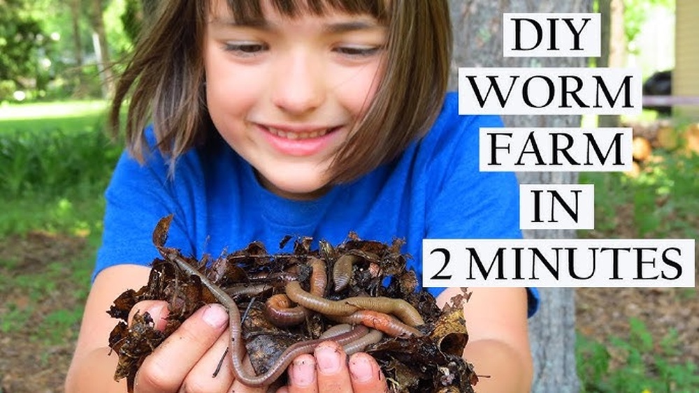 How to Grow Earthworms for Fishing