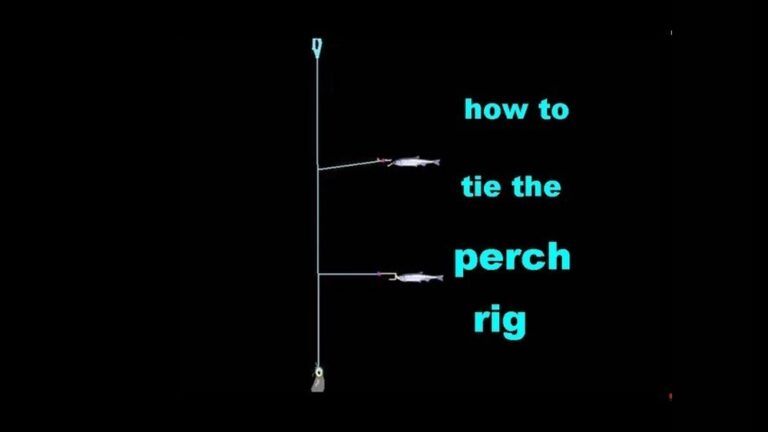 How to Tie a Perch Fishing Rig