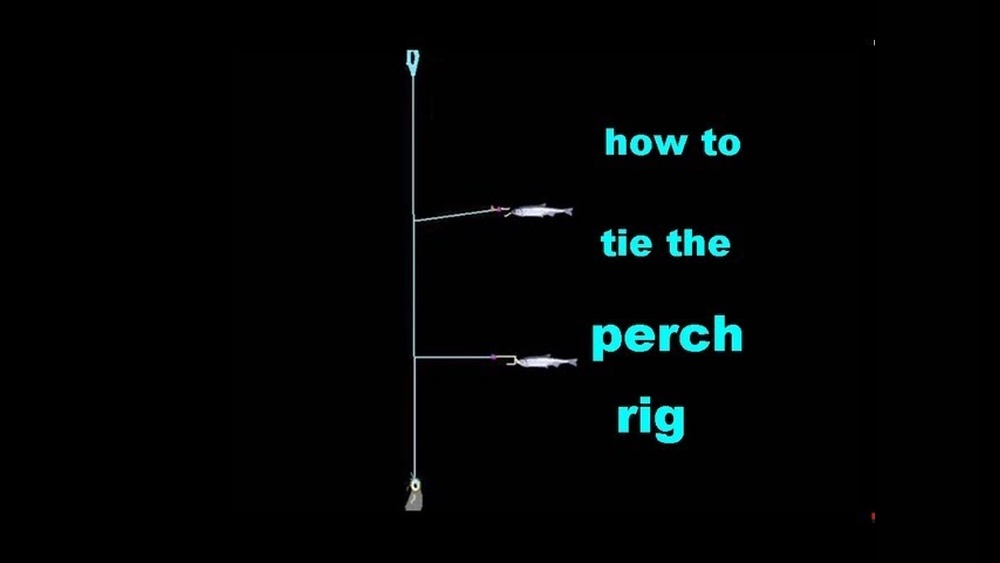 How to Tie a Perch Fishing Rig: Step-by-Step Guide for Success How to Tie a Perch Fishing Rig