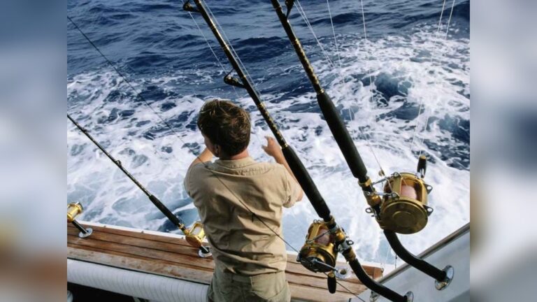 Inshore Vs Surf Fishing