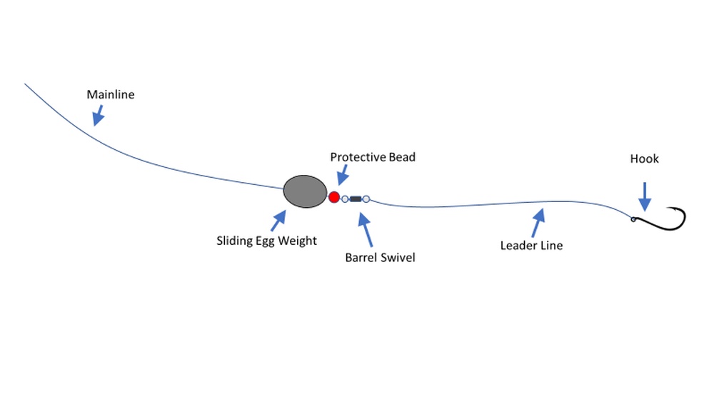 Is a Carolina Rig Good for Surf Fishing? Expert Tips Revealed Is a Carolina Rig Good for Surf Fishing