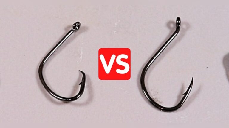 J Hook Fishing Vs Circle Hook