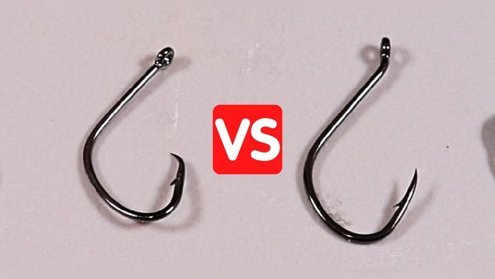 J Hook Fishing Vs Circle Hook