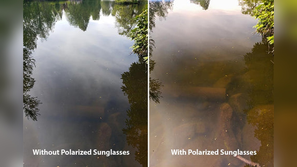 Polarized Vs Non Polarized Sunglasses Fishing