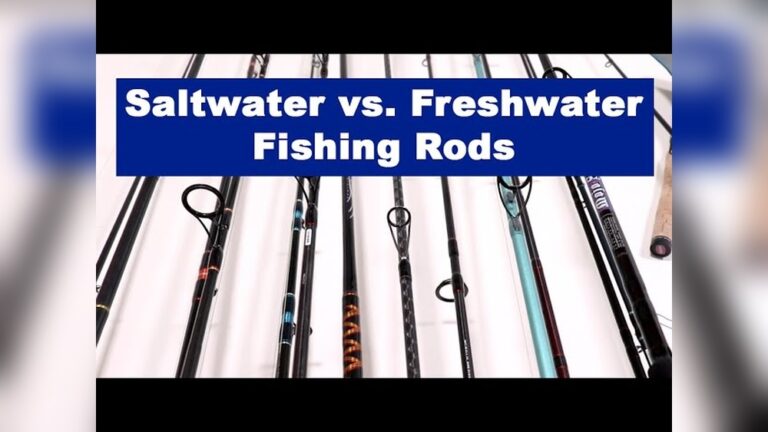 Saltwater Vs Freshwater Fishing Rods