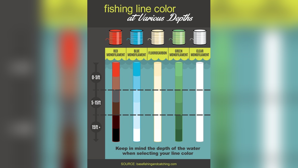 What Color Fishing Line is Best for Clear and Murky Waters? What Color Fishing Line is Best