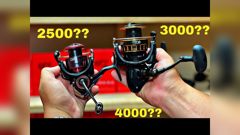 What is a 3000 Size Reel Good for