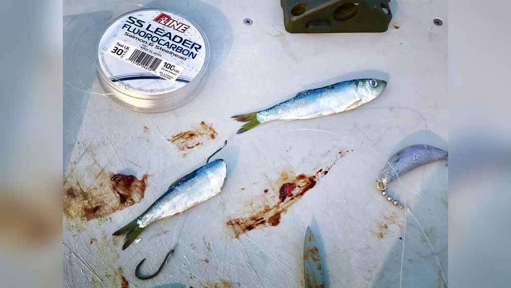 What is Mooching Fishing