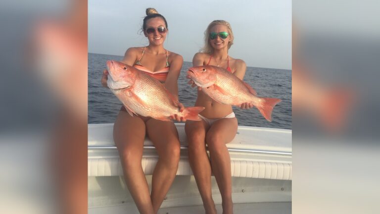 What is Offshore Fishing