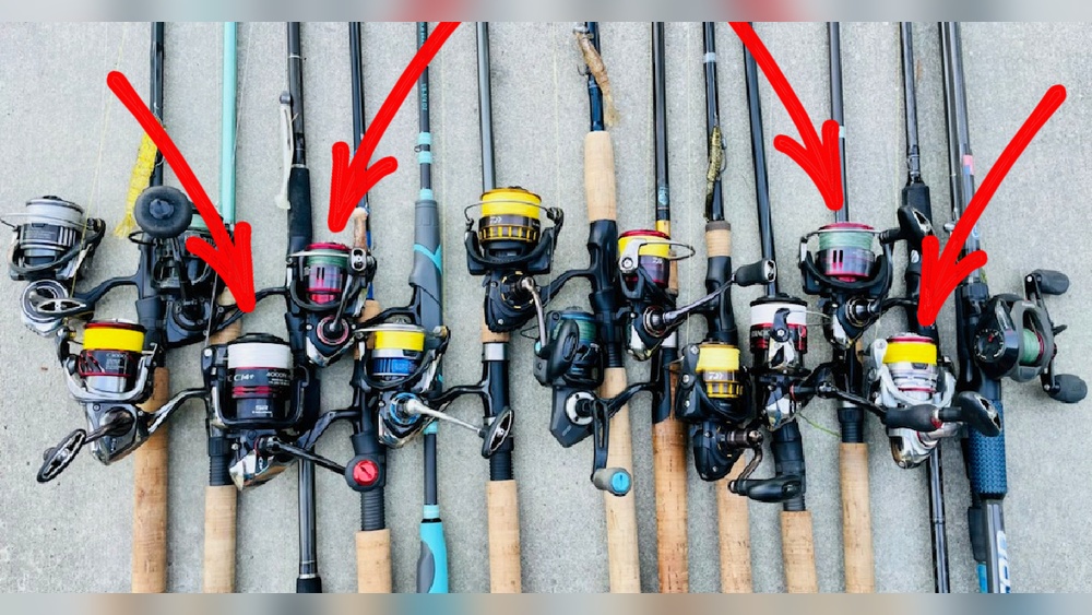 What Size Reel for Redfish