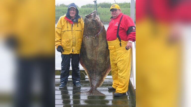 What to Wear Halibut Fishing in Alaska