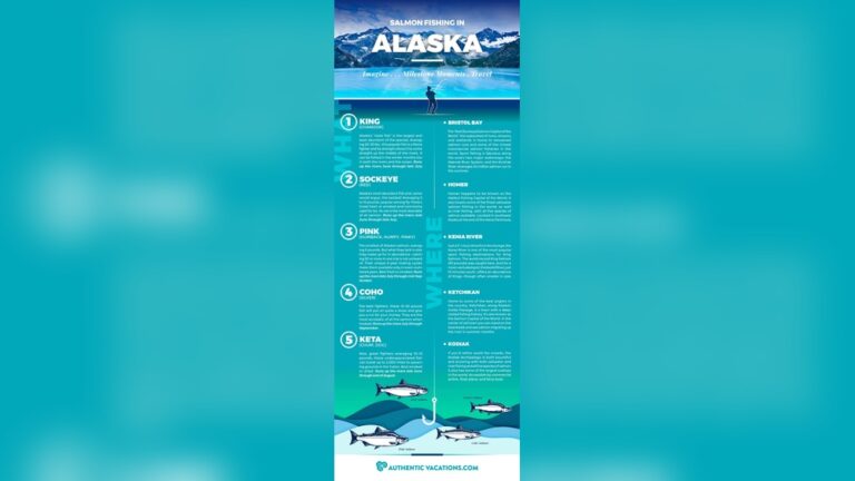 Where is the Best Salmon Fishing in Alaska