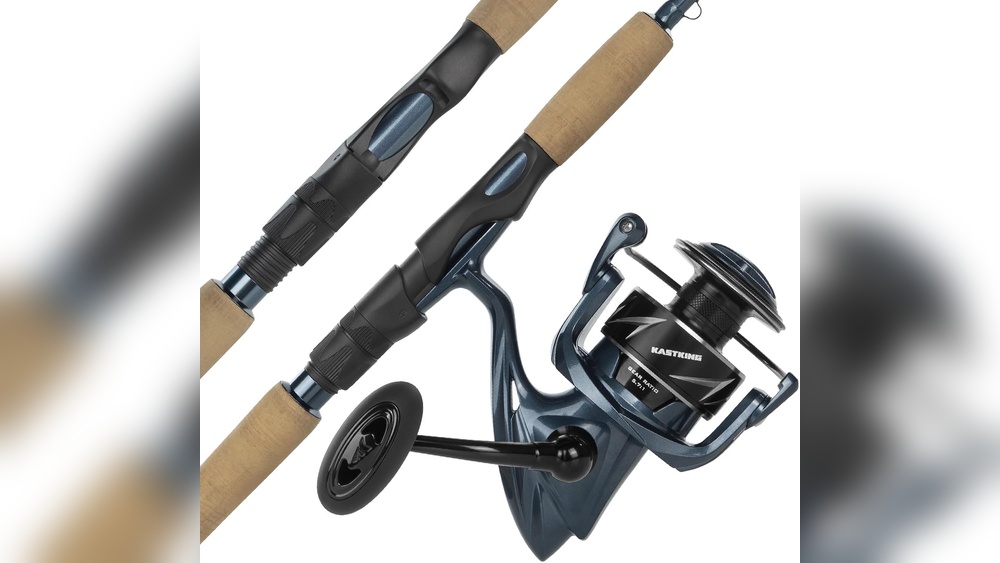 Best Fishing Rod And Reel for Redfish 2026: Top Picks for Buyers Best Fishing Rod And Reel for Redfish