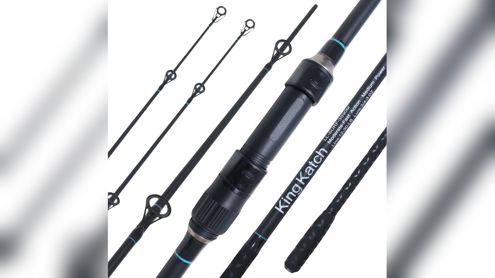 Best Fishing Rod for Beach Fishing