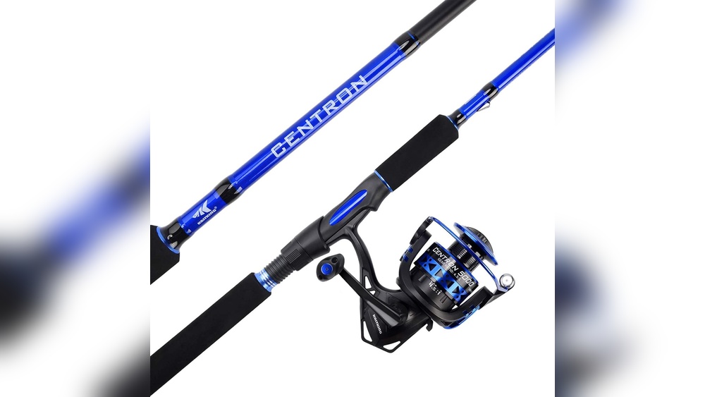 Best Rod And Reel for Salmon Fishing