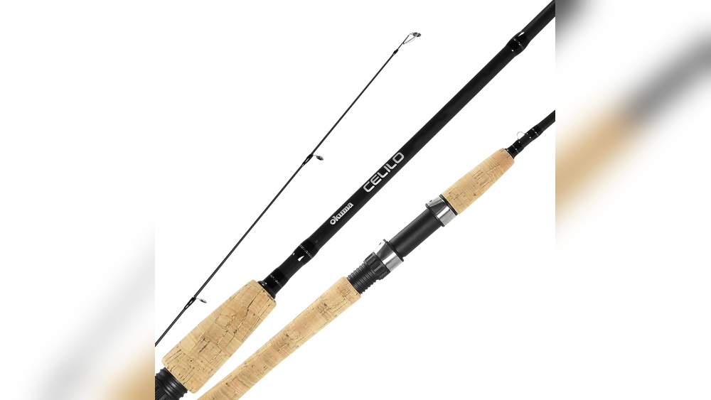 Best Rod for Trout Fishing