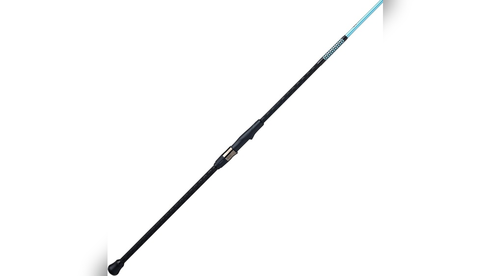 Best Surf Fishing Rods 2026: Top Picks for Serious Anglers Best Surf Fishing Rods