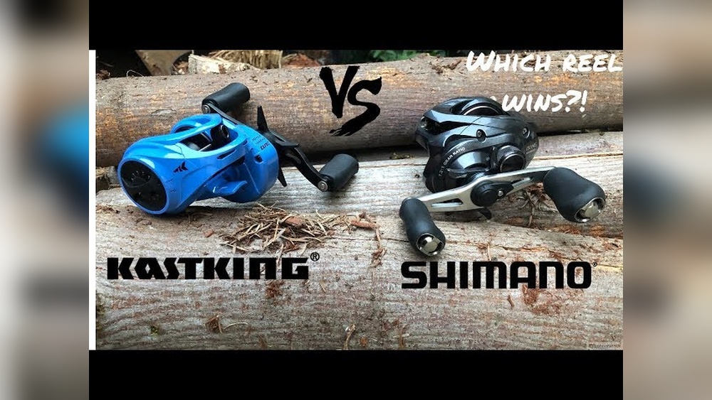 Kastking Vs Shimano