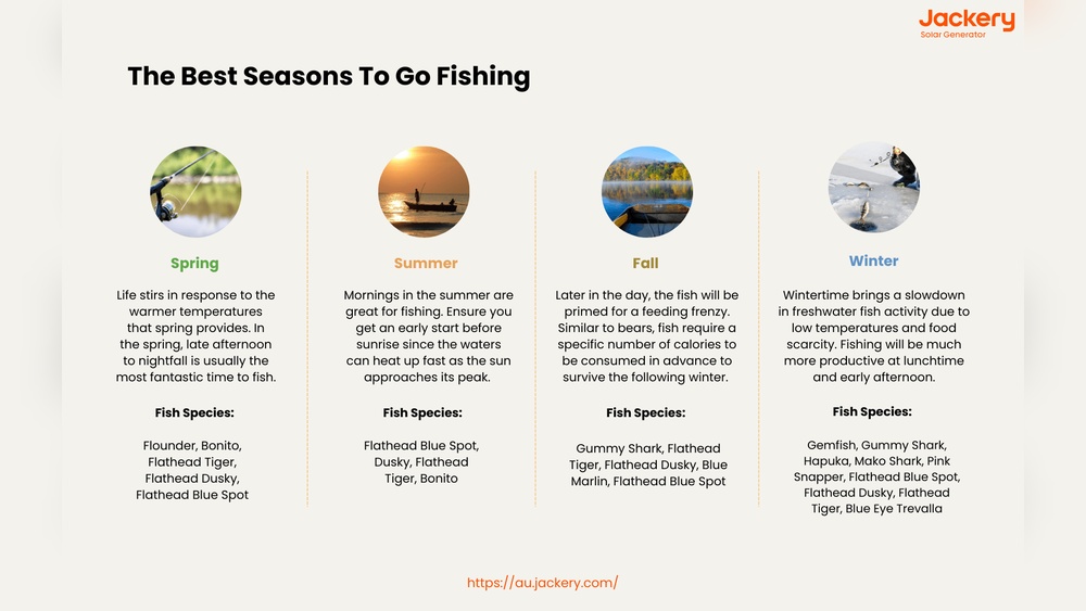 What is the Best Season for Fishing
