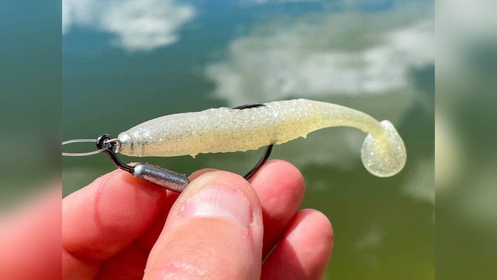 What'S the Best Bait for Saltwater Fishing